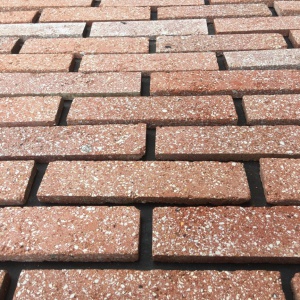 Gạch thẻ cổ (gạch cắt ) kt 230x65x13mm